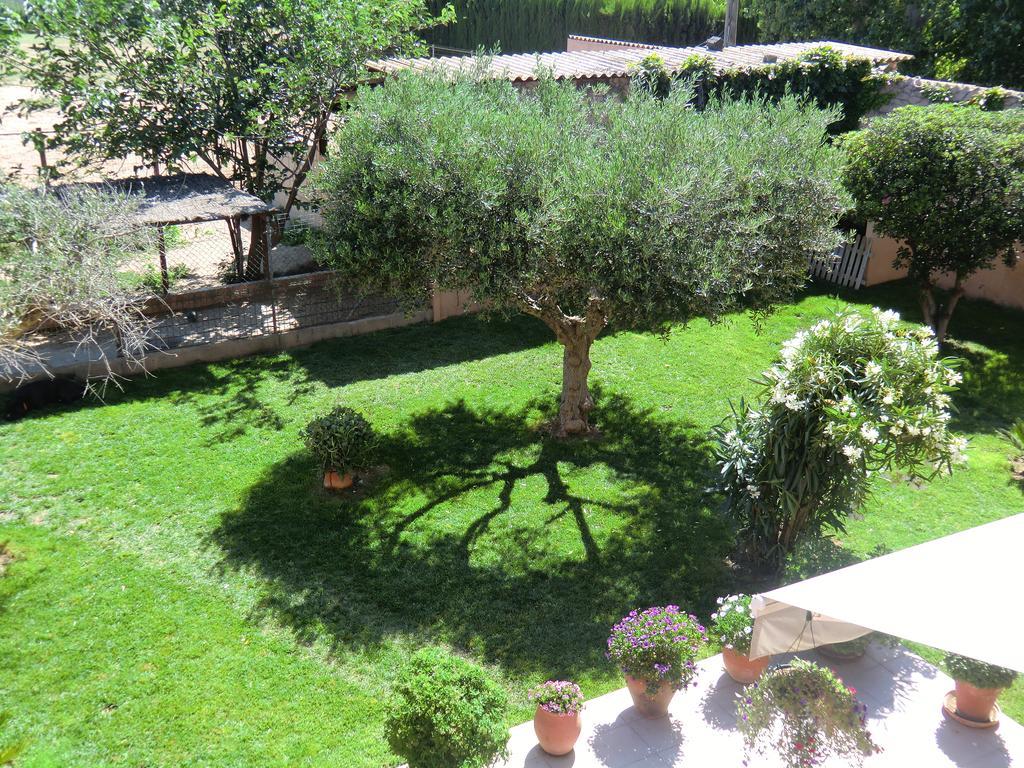 Casa Rural Hipica Mas Paguina L'Estartit Extérieur photo
